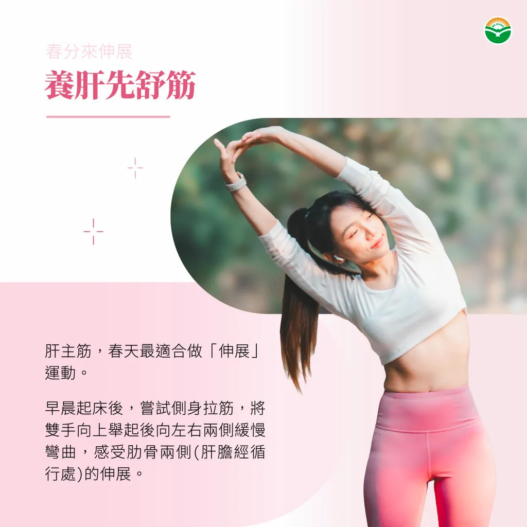 馬光＿春分＿伸展運動：拉開肝膽經