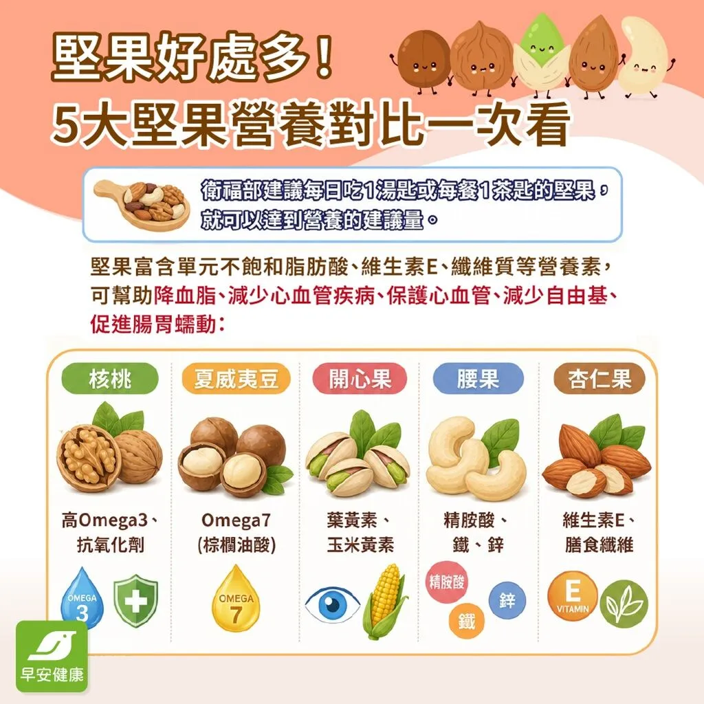 堅果-堅果好處-堅果怎麼吃-綜合堅果營養