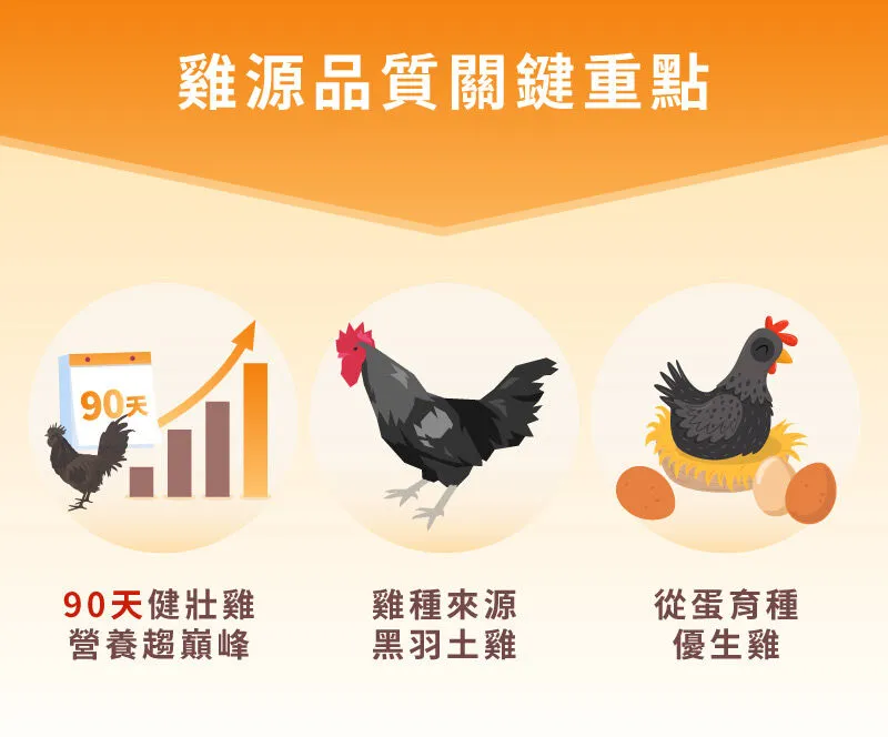 滴雞精雞源品質關鍵重點