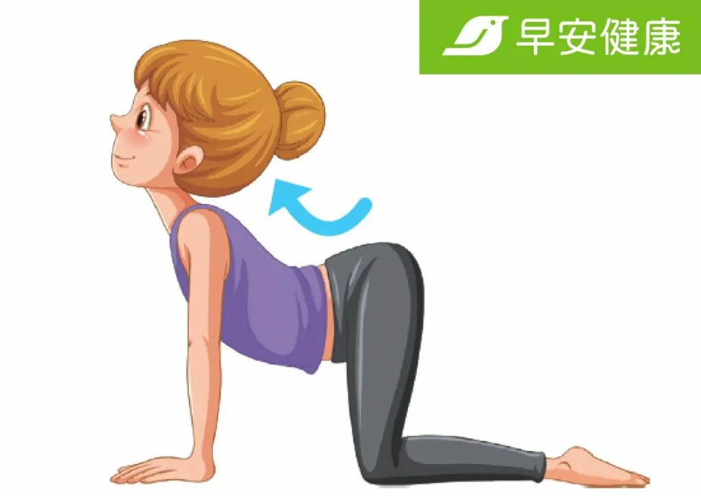 貓牛式_牛式_早安健康