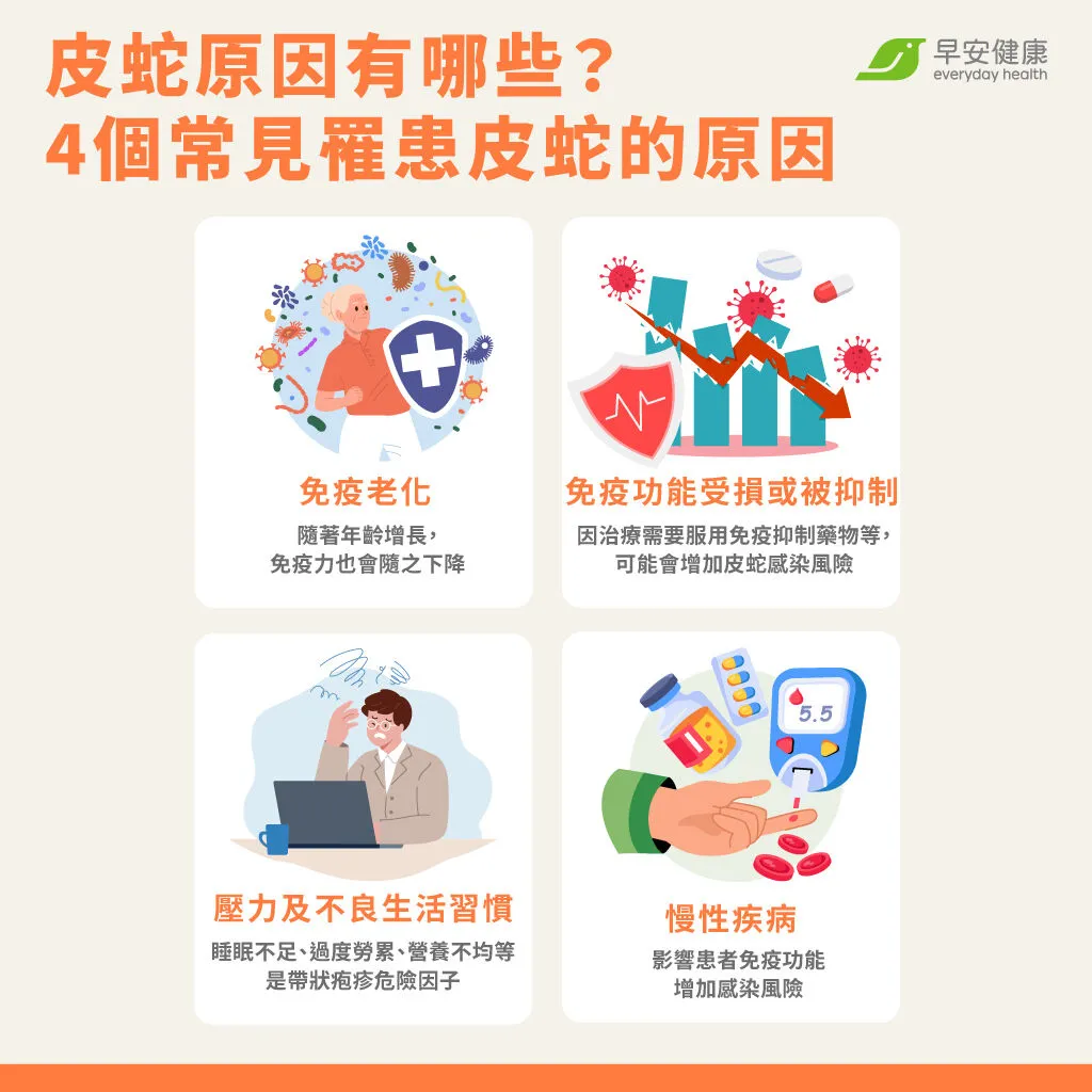 免疫力下降、壓力大或慢性病患者，都可能成為皮蛇的高風險族群，建議及早預防！