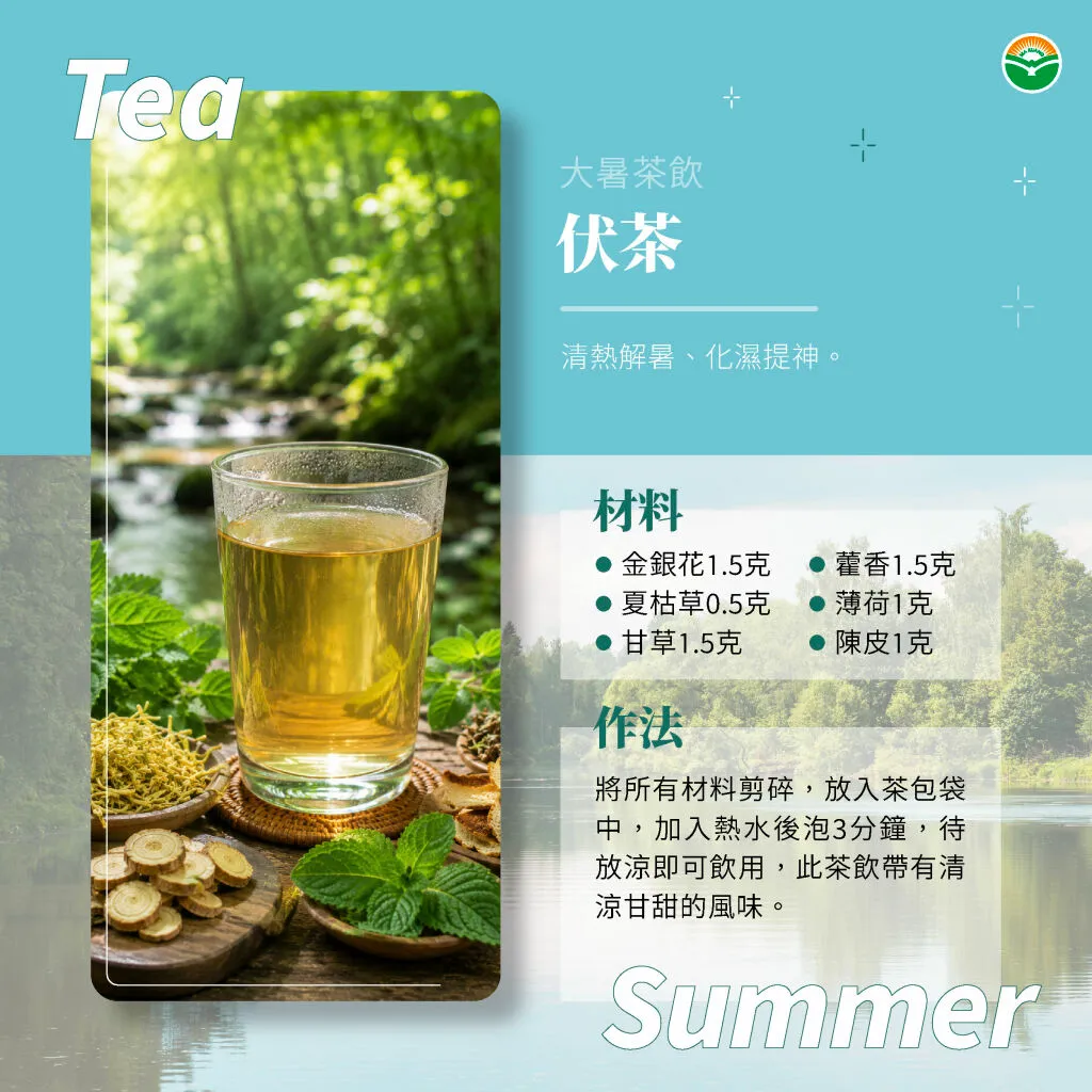 馬光中醫＿大暑＿食療，喝伏茶