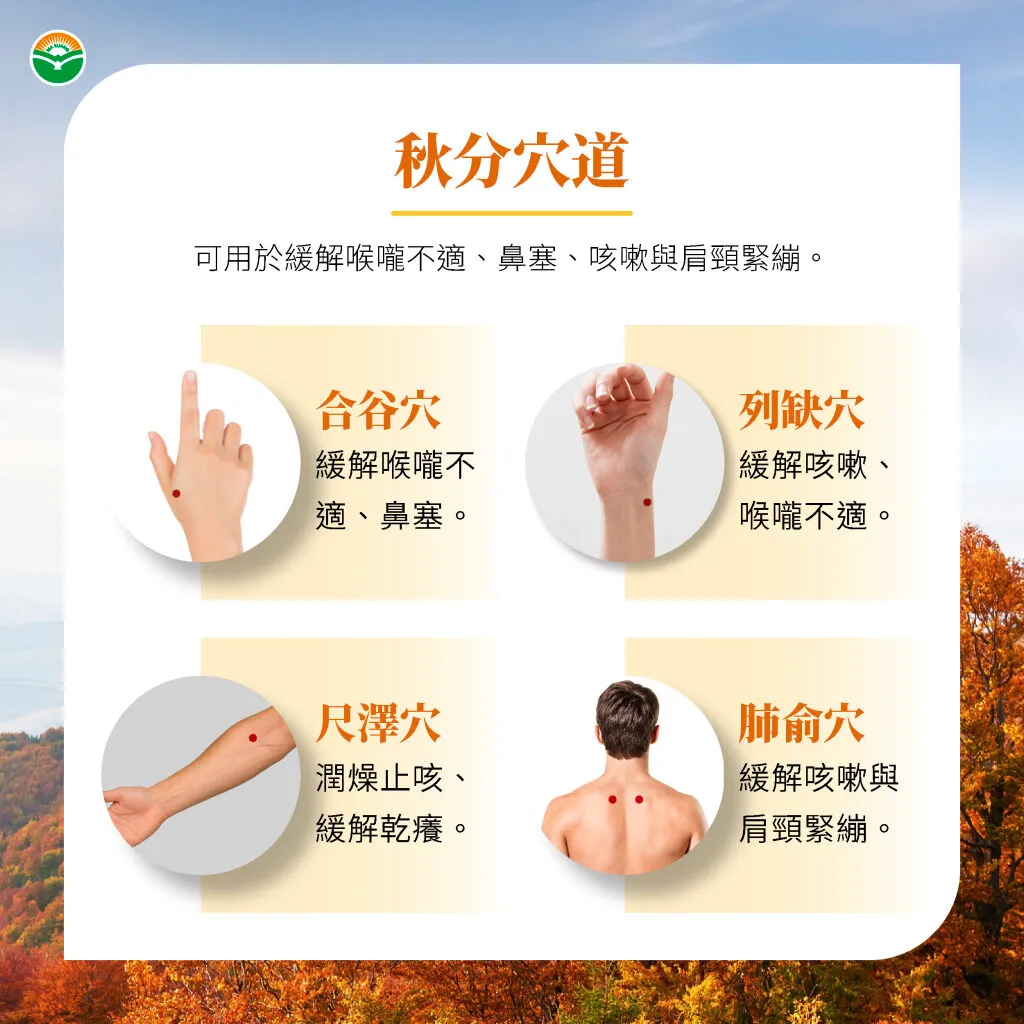 馬光中醫＿秋分穴道