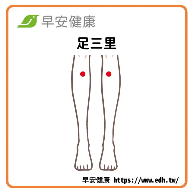 早安健康_足三里穴道