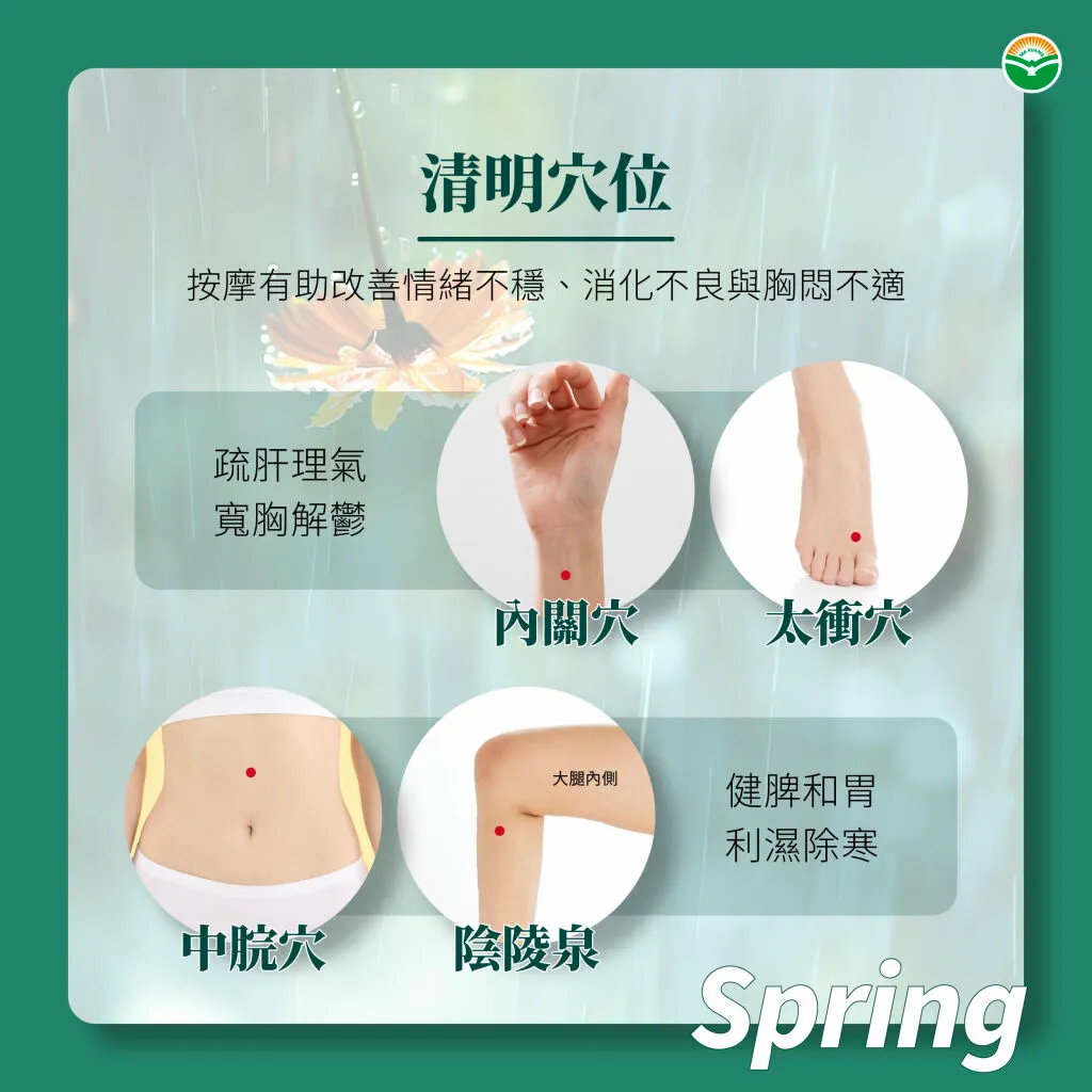 馬光_清明穴道按摩