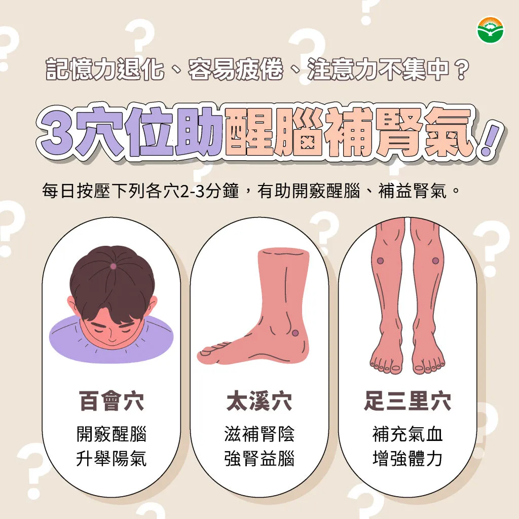 馬光中醫_3穴位助醒腦補腎氣