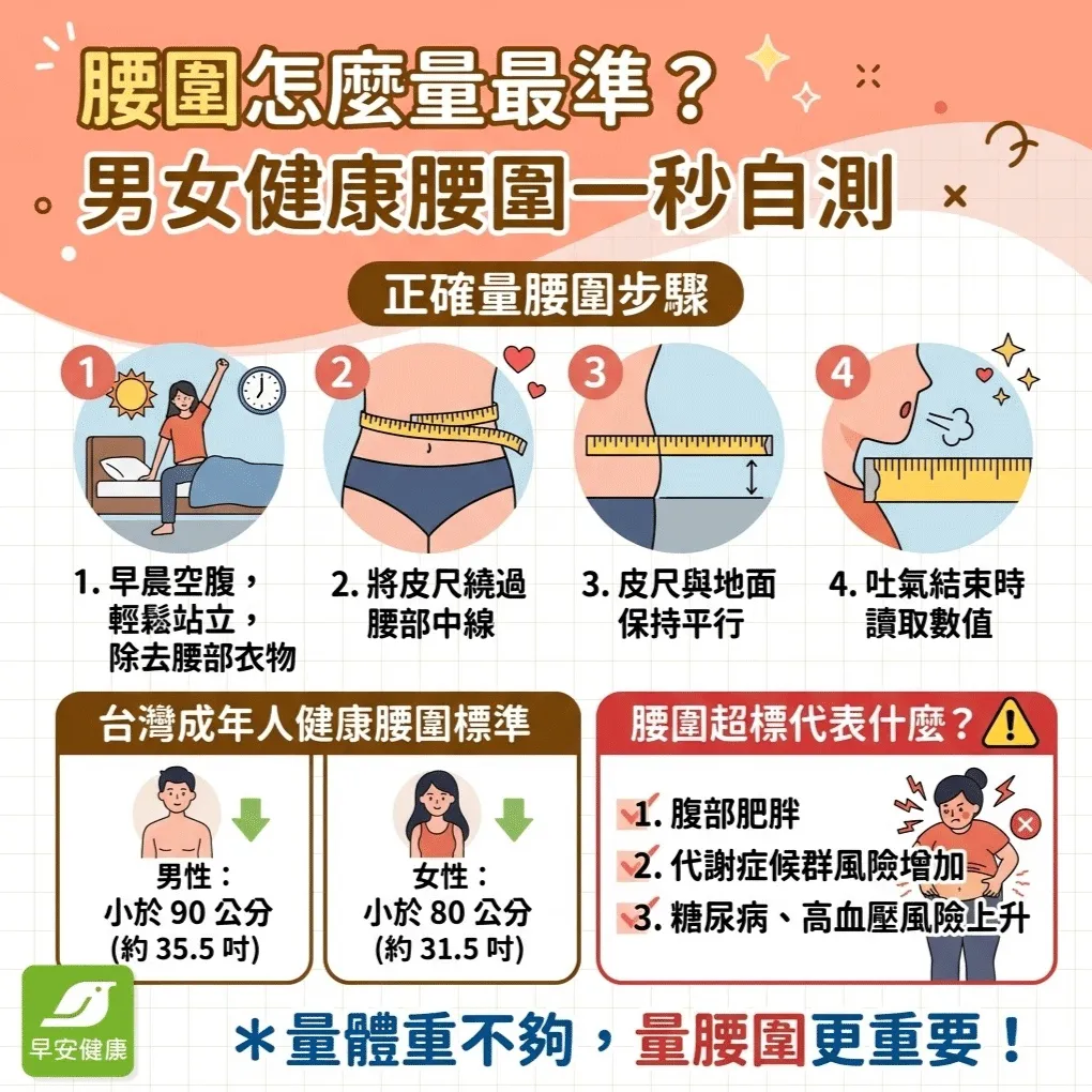 早安健康_腰圍怎麼量最準?男女健康腰圍一秒自測