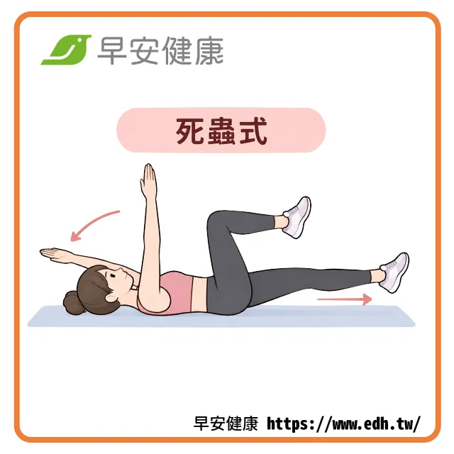 核心運動「死蟲式」動作示範