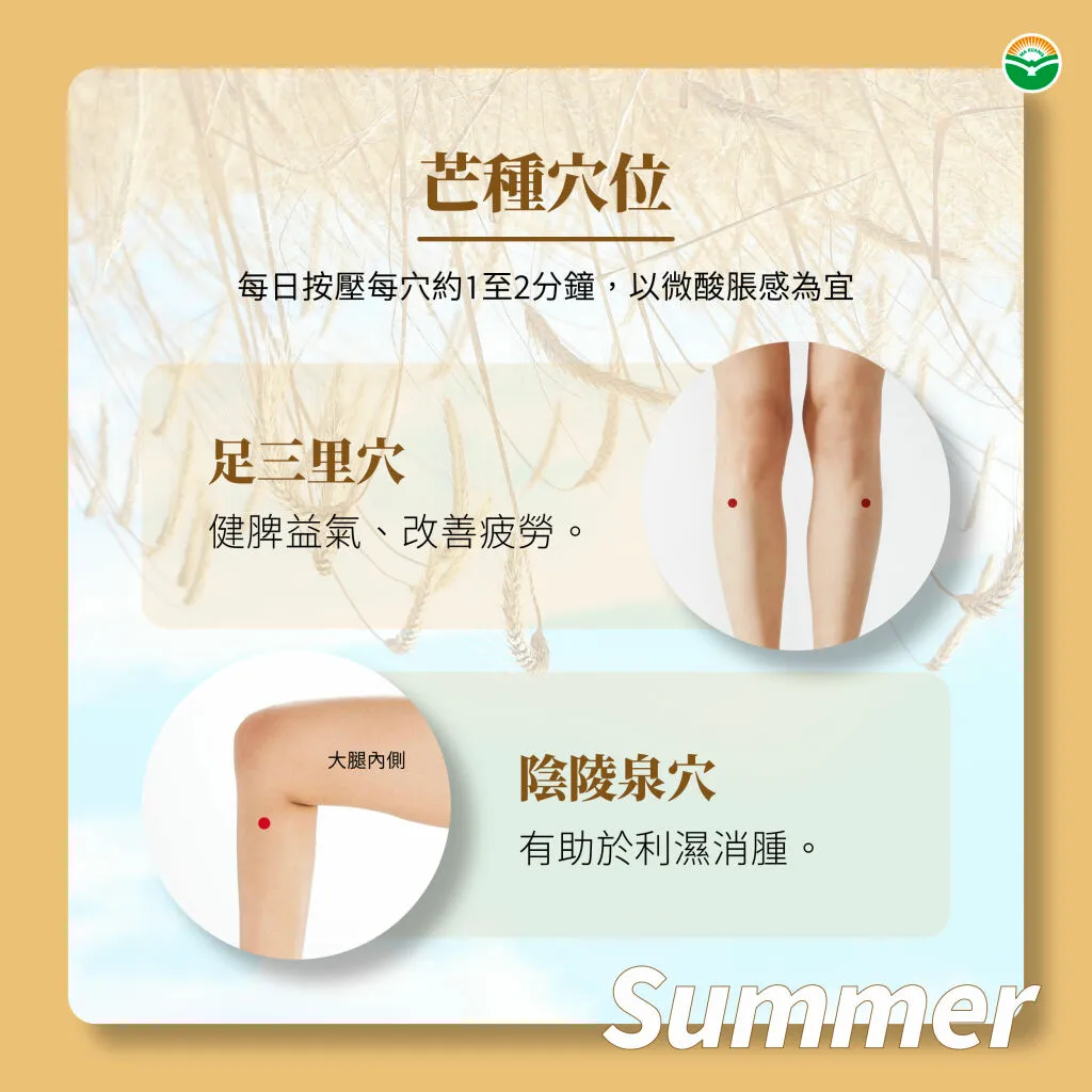 馬光中醫_芒種按摩穴道