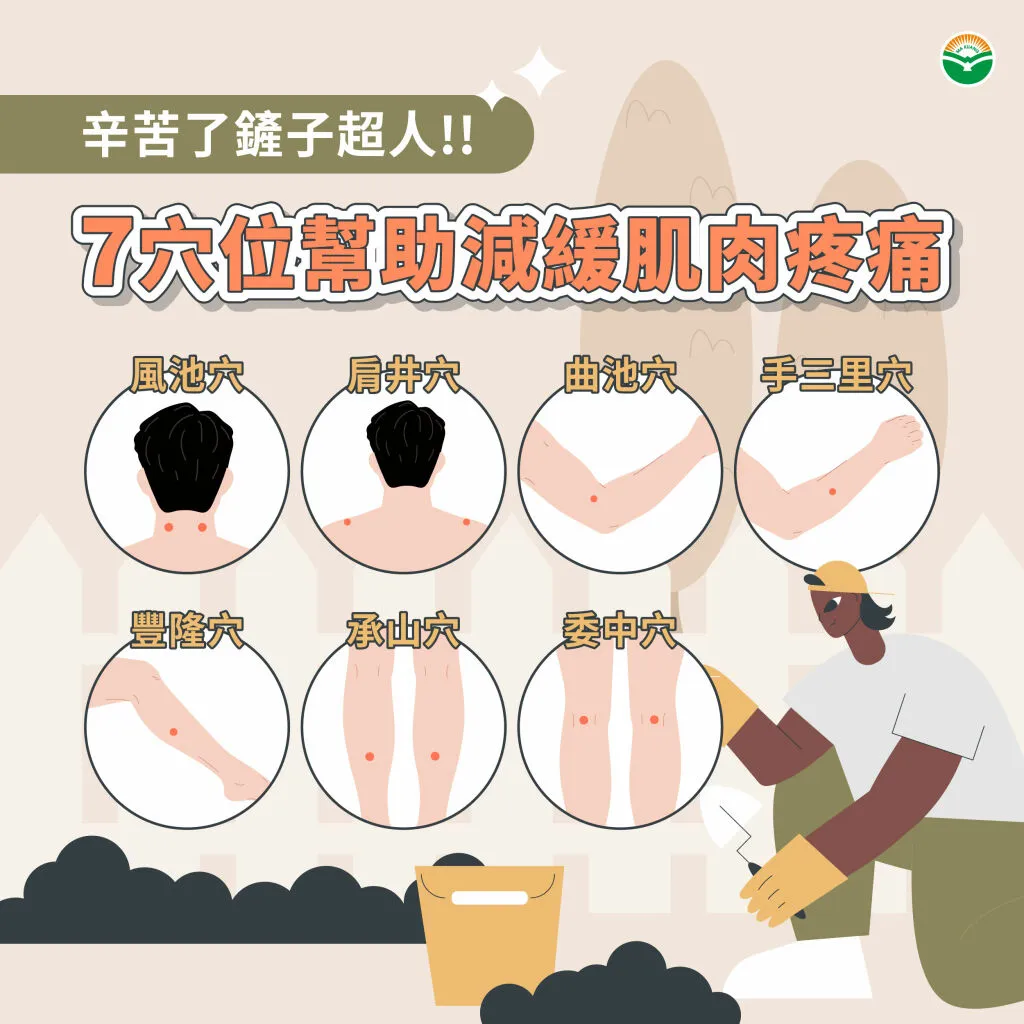 馬光中醫_7穴位緩解肌肉痠痛