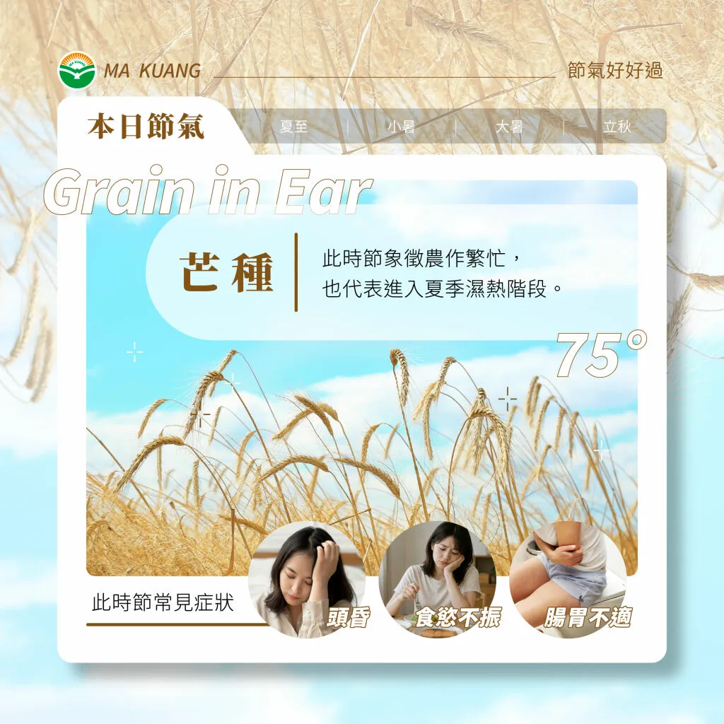 馬光中醫_芒種常見不適症狀