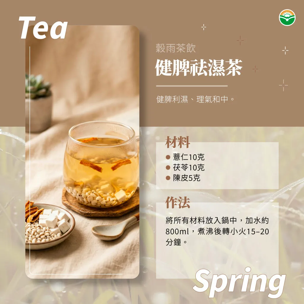 馬光中醫＿穀雨＿健脾祛濕茶