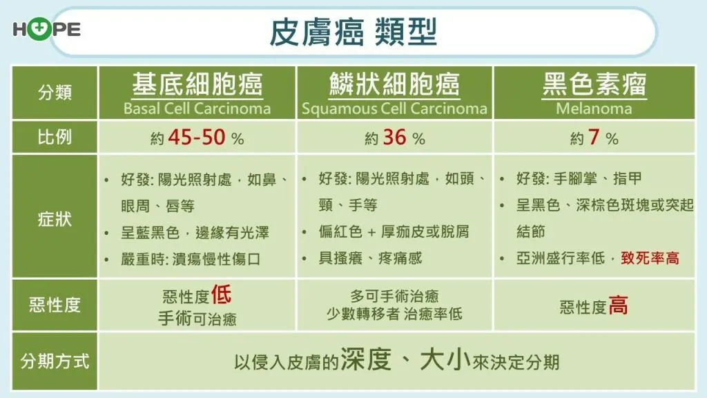 癌症希望基金會_皮膚癌類型