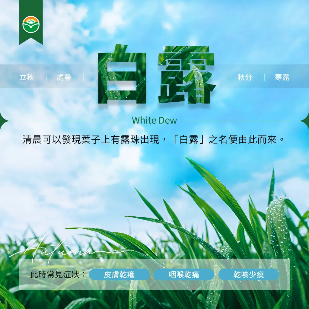 馬光中醫＿白露常見症狀