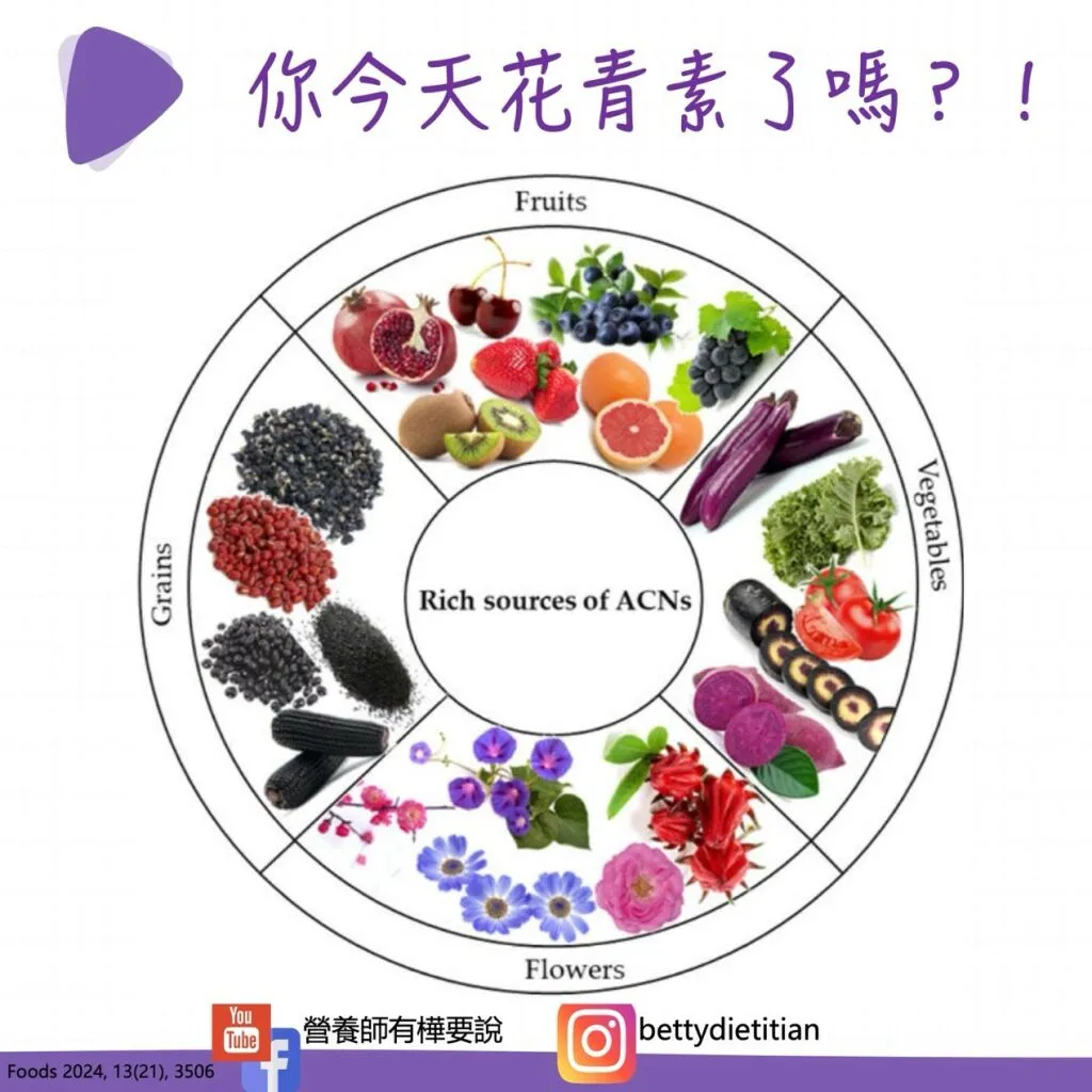 簡鈺樺營養師_口服防曬劑的奧秘-花青素02