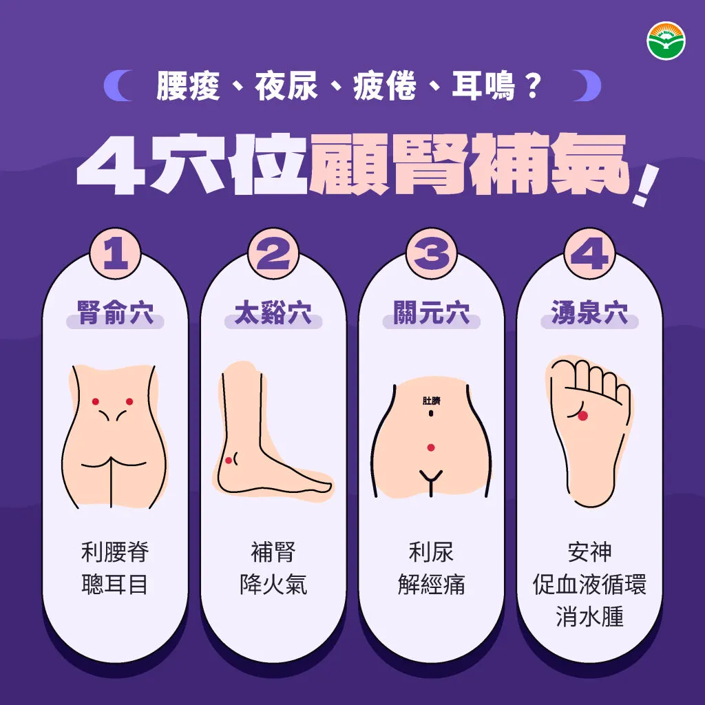 馬光中醫_4穴位顧腎補氣