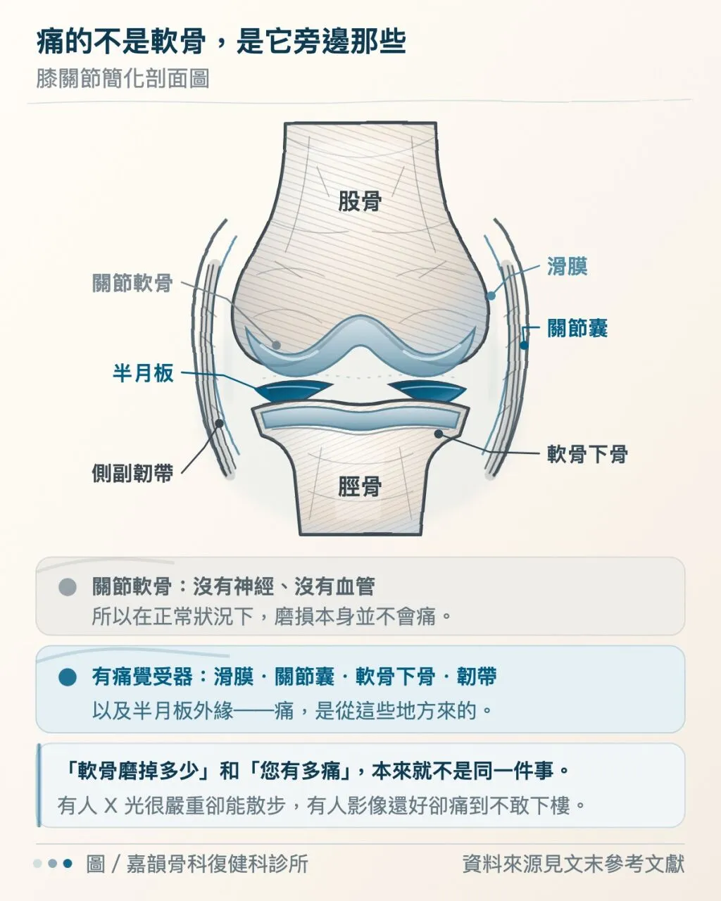 嘉韻診所ㄦ_膝痛來源解剖圖