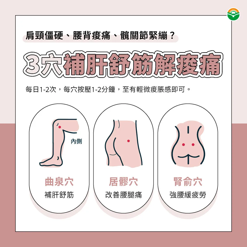 馬光中醫_3穴補肝舒筋解酸痛