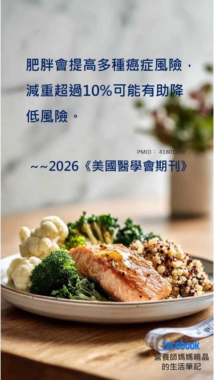 薛曉晶營養師_肥胖會提高多種癌症風險,減重超過10%可能有助降低風險
