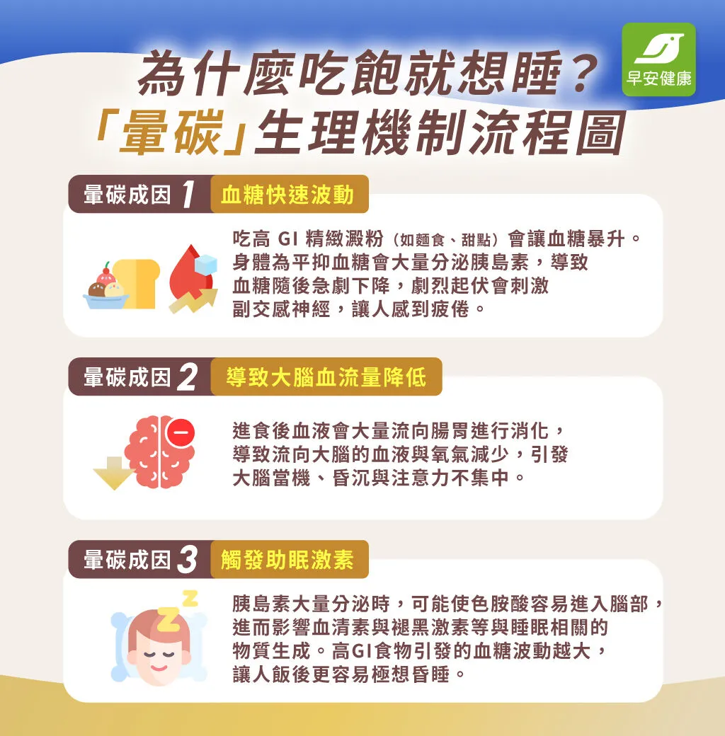 暈碳是因高 GI 飲食引起血糖波動、血流重新分配及助眠激素增加，導致飯後疲倦、想睡與腦袋昏沉