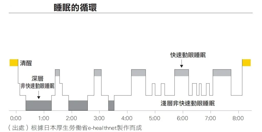 大腦睡眠周期