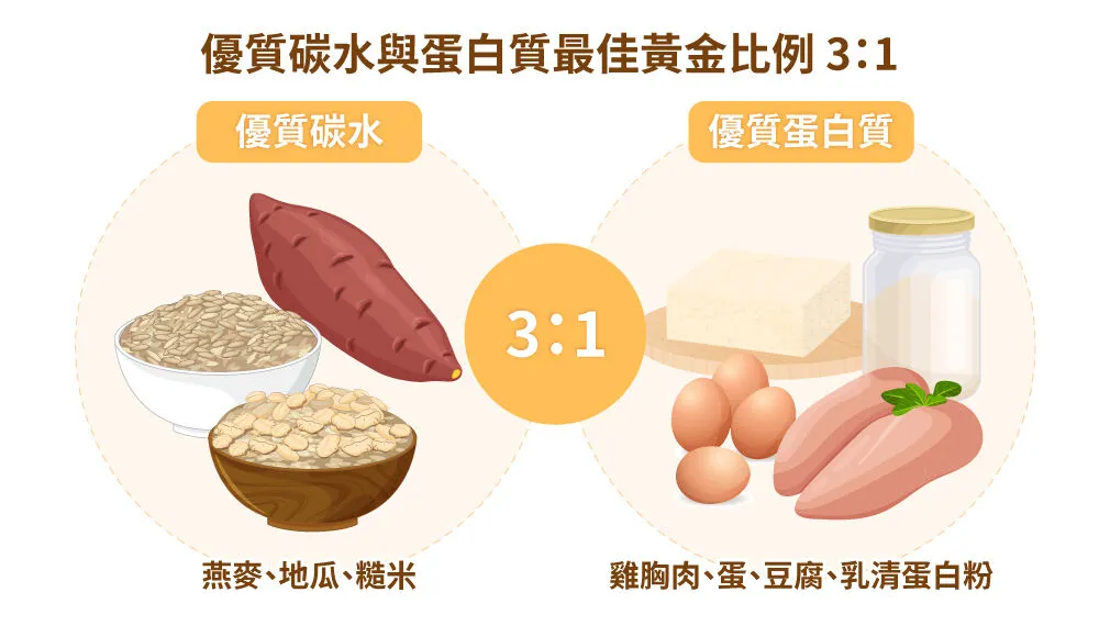 黃金比例碳水蛋白