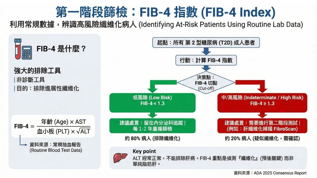 邱筱宸醫師_肝纖維化篩檢,第一階段篩檢_FIB-4指數