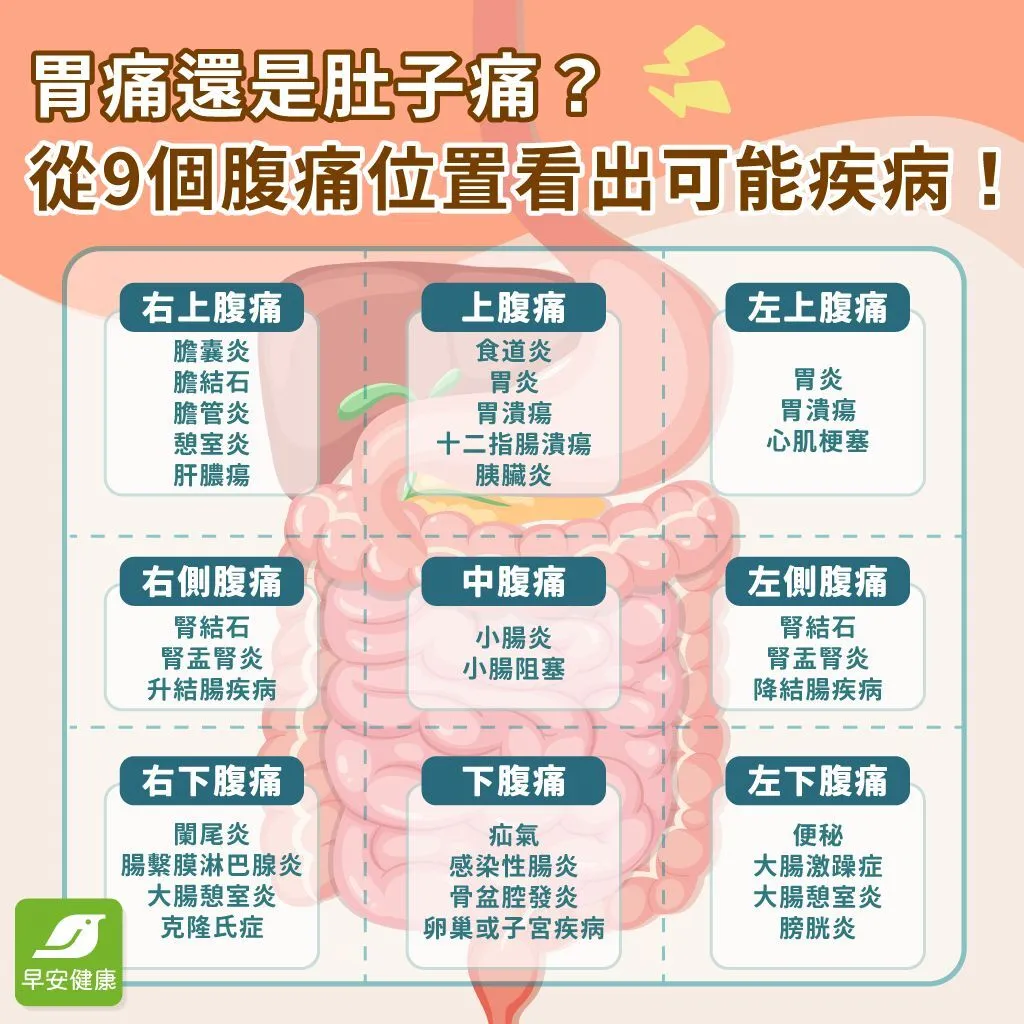 從胃痛位置、時間判斷可能原因