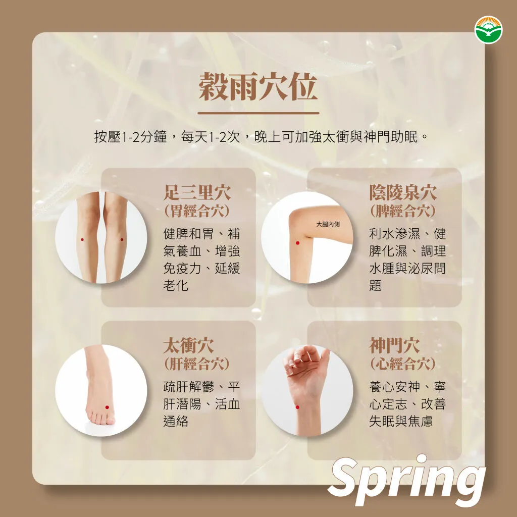 馬光中醫_穀雨穴位