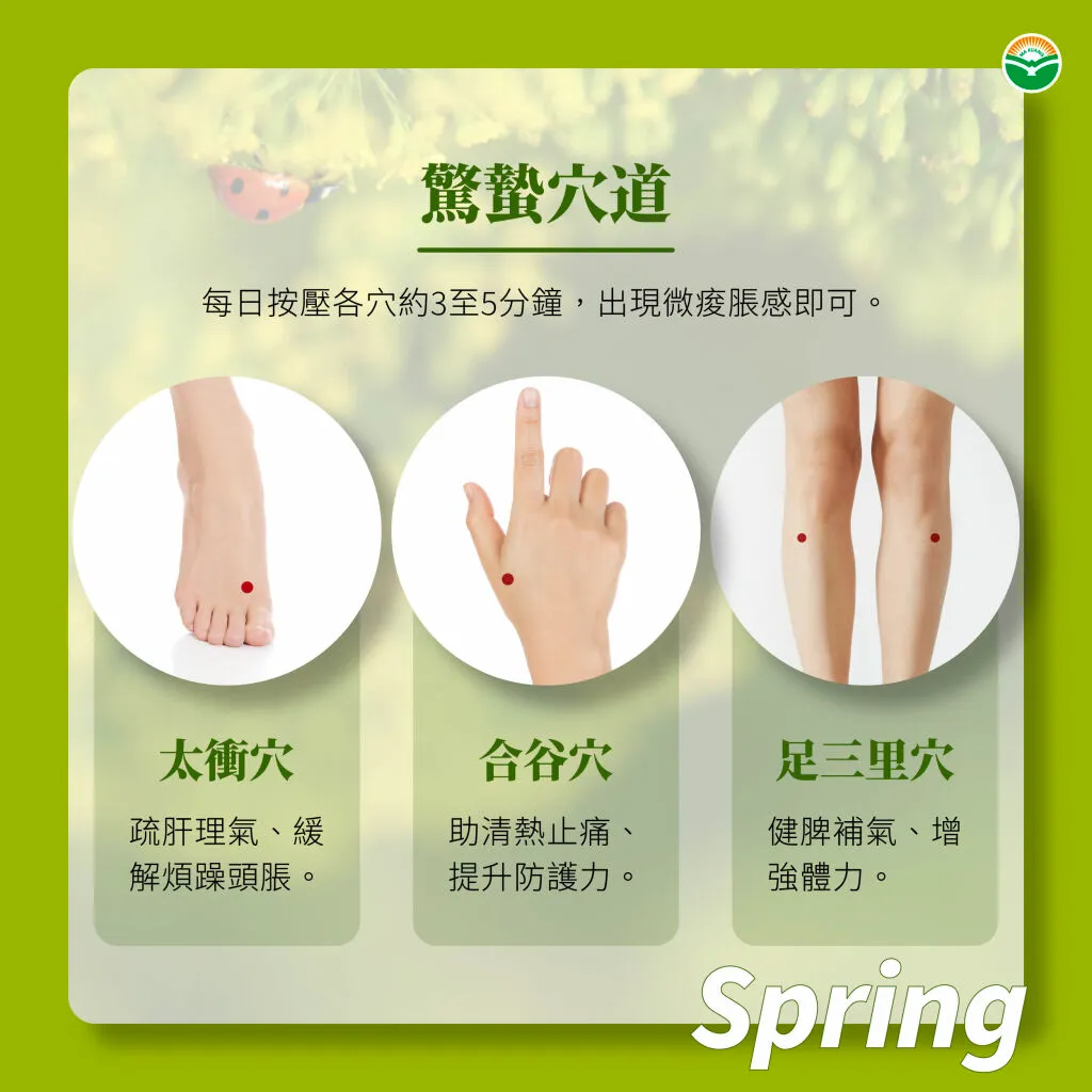 馬光中醫_驚蟄_穴道