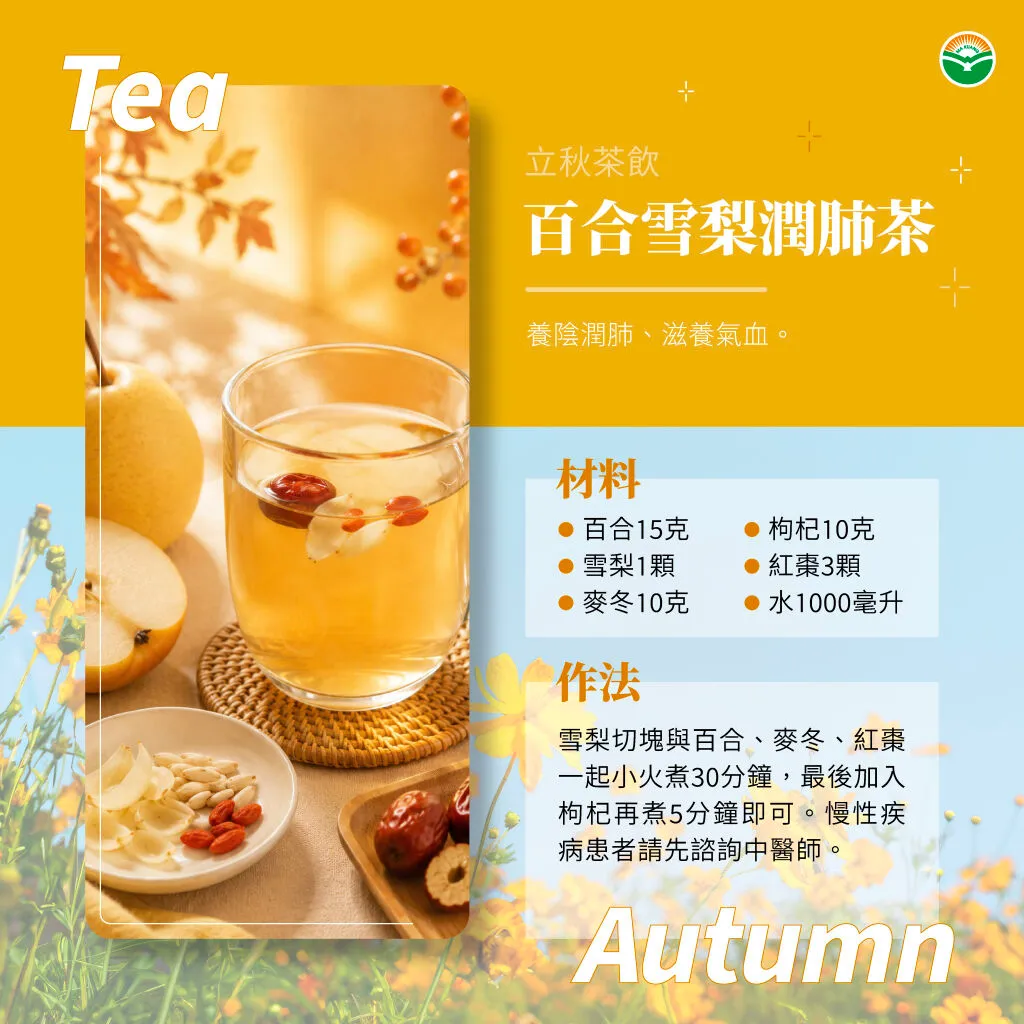 馬光＿立秋＿百合雪梨潤肺茶