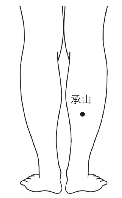 承山穴-除濕穴位