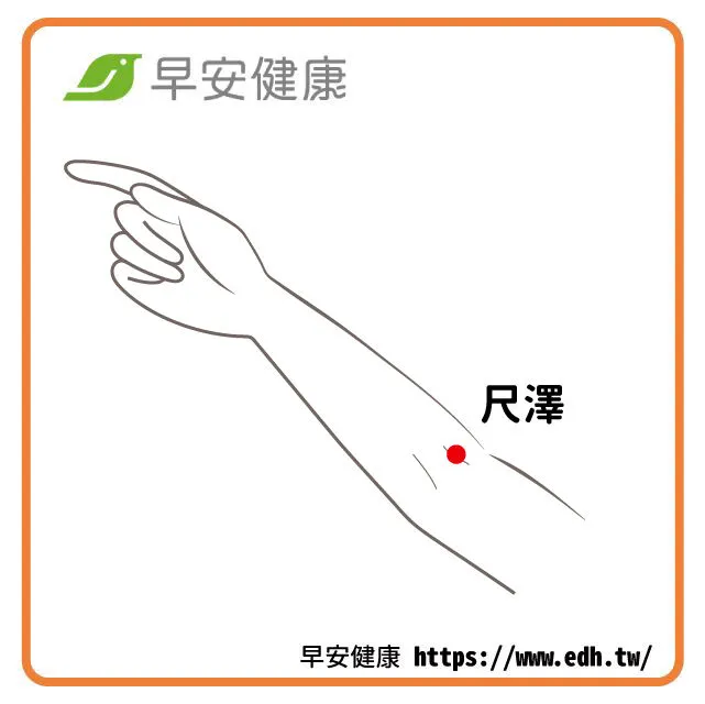 尺澤穴