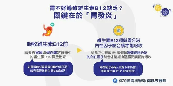 胃不好導致維生素B12缺乏？鄭泓志醫師