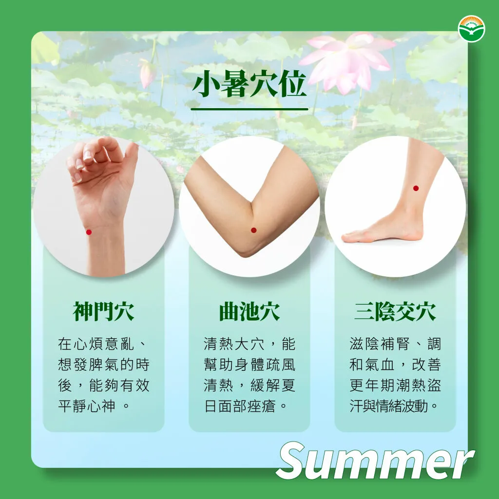 馬光＿小暑穴位