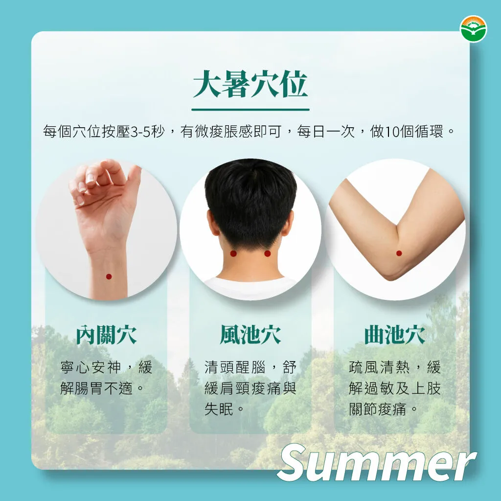 馬光中醫＿大暑＿穴道穴位