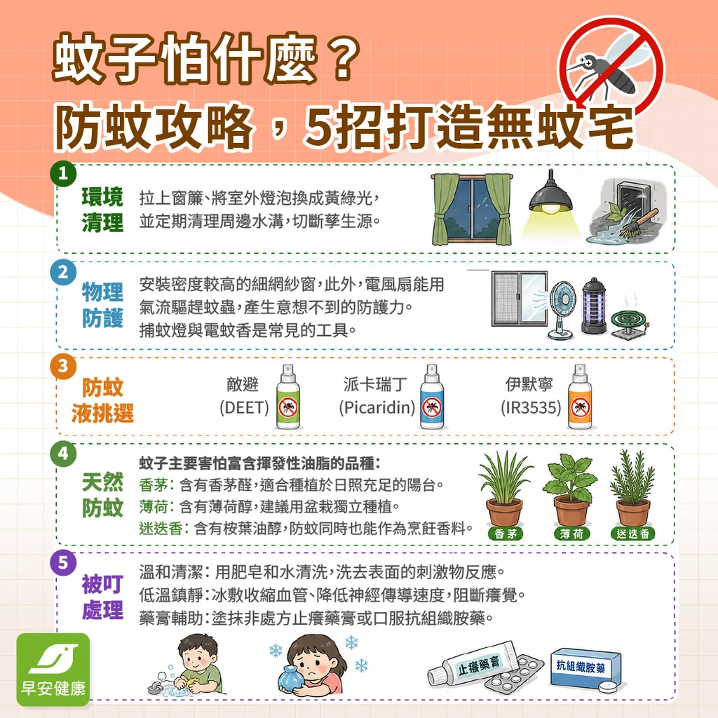 早安健康_蚊子什麼？防蚊攻略，5招打造無蚊宅