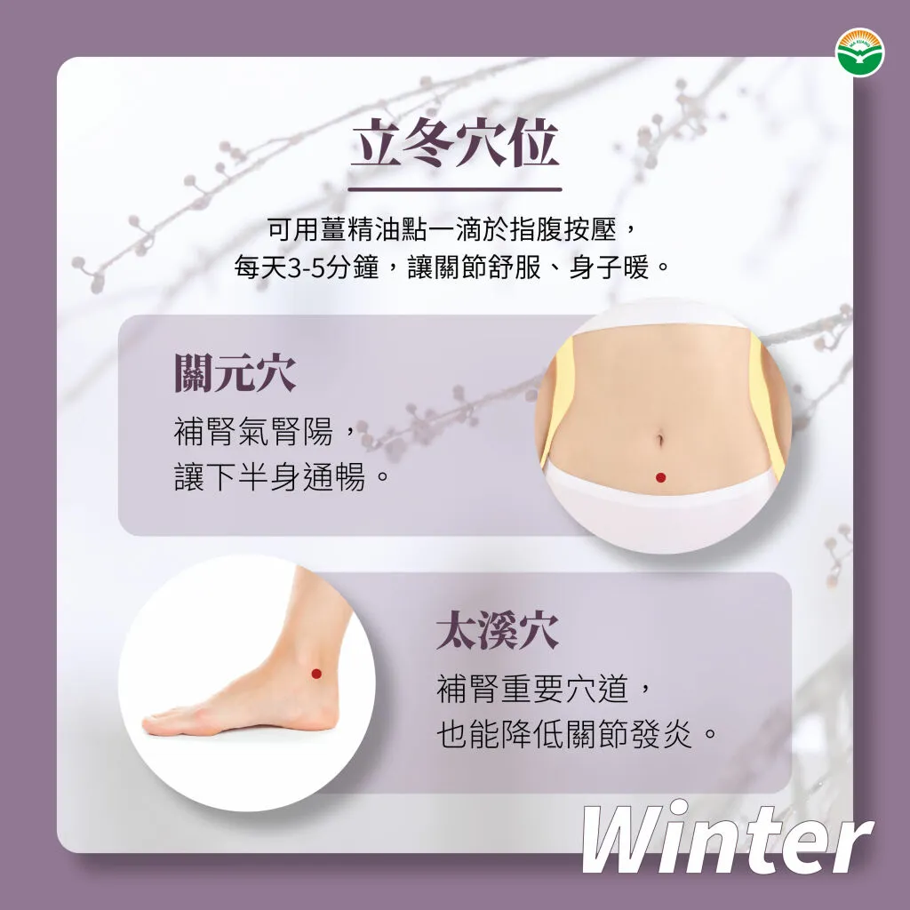 馬光中醫＿立冬穴道