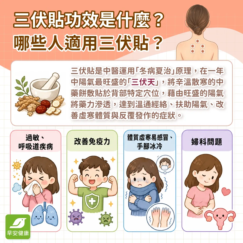 三伏貼-三伏貼功效-三伏貼是什麼-三伏貼原理