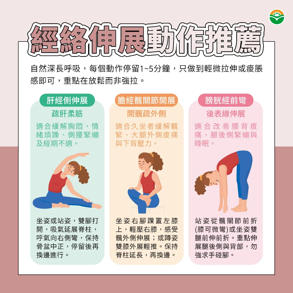 馬光中醫_經絡伸展動作推薦