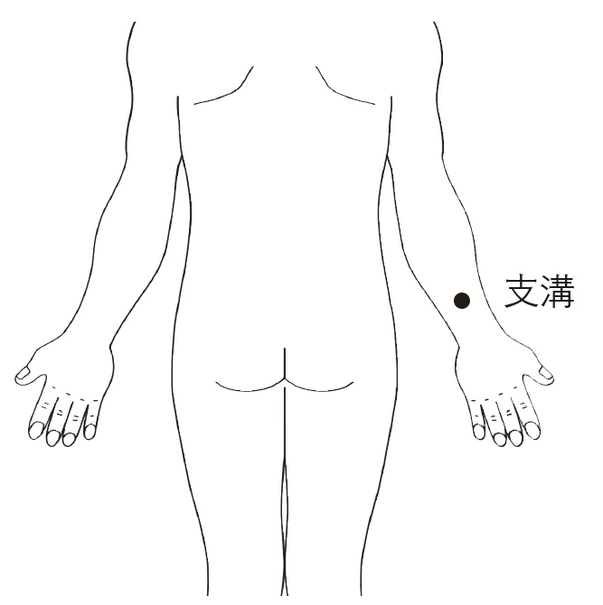 支溝穴-便秘通腸穴位