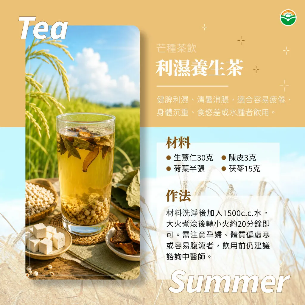 馬光中醫_芒種利濕養生茶