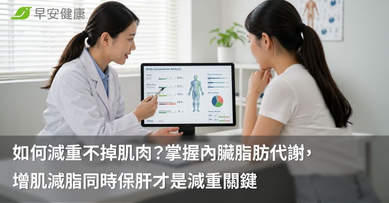 如何減重不掉肌肉？掌握內臟脂肪代謝，增肌減脂同時保肝才是減重關鍵