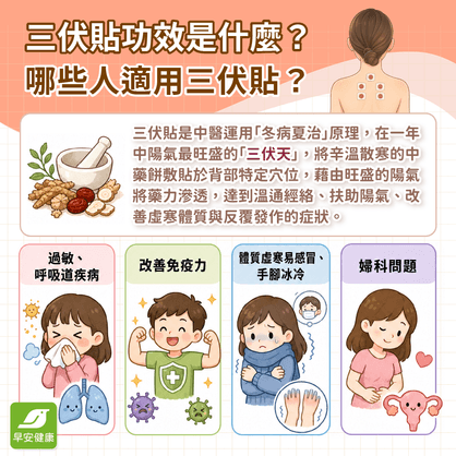 三伏貼功效是什麼？2026三伏貼時間與價格全解析