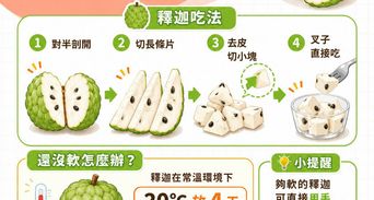 釋迦功效與營養》釋迦一天吃幾顆？鳳梨釋迦、大目釋迦比一比