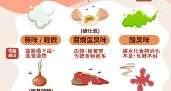 為什麼一直放屁？6種屁味被忽視的身體訊號與改善方法！