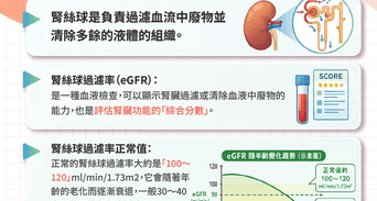 腎絲球功用是什麼？腎絲球過濾率正常值是多少，紅字=要洗腎？