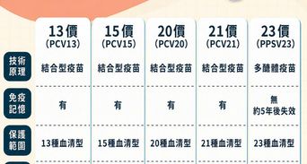肺炎鏈球菌疫苗新制上路！誰能免費打、自費價格與副作用