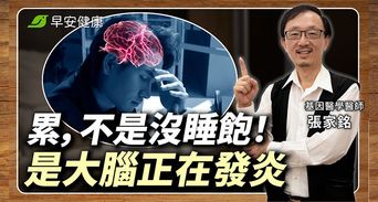 為什麼滑手機越滑越累？醫破解大腦慢性發炎成因與3種護腦食物改善
