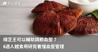 樟芝王可以輔助調節血壓？8週人體食用研究看懂血壓管理